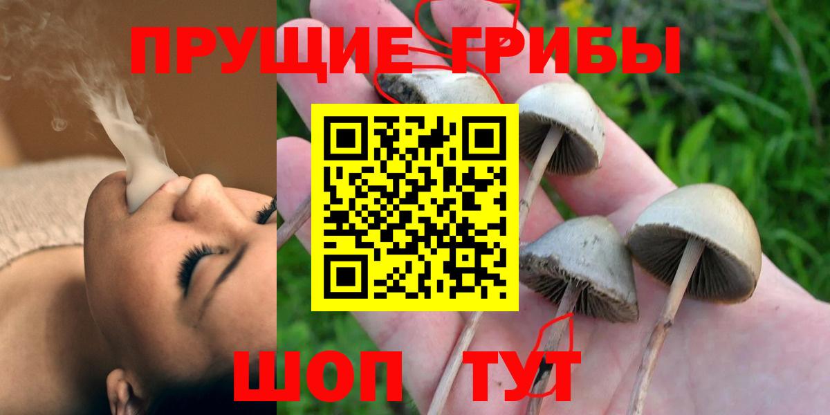 Галлюциногенные грибы GOLDEN TEACHER  Вход с VPN  магазин    Саянск 