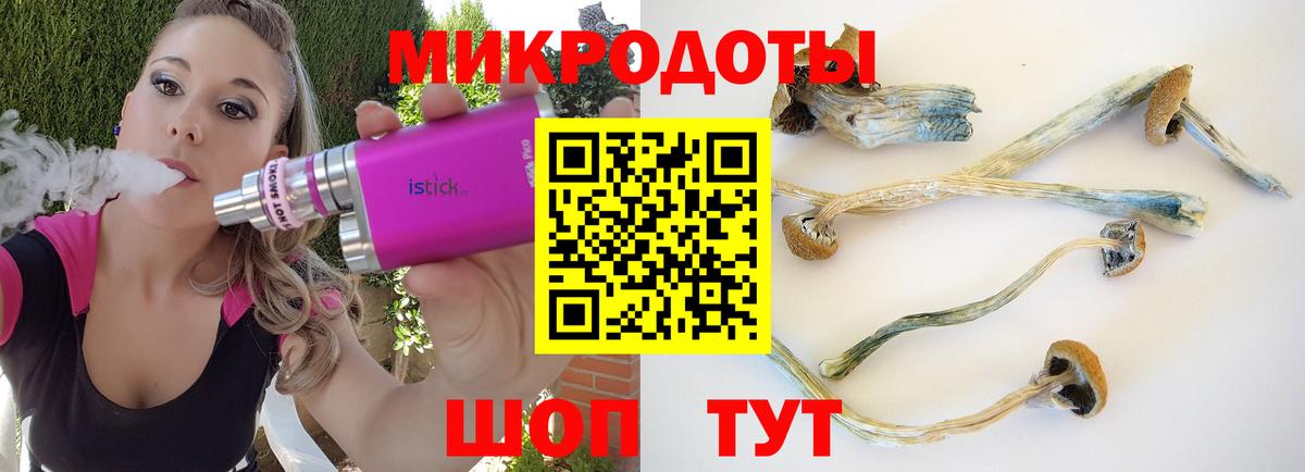 Псилоцибиновые грибы ЛСД Саянск